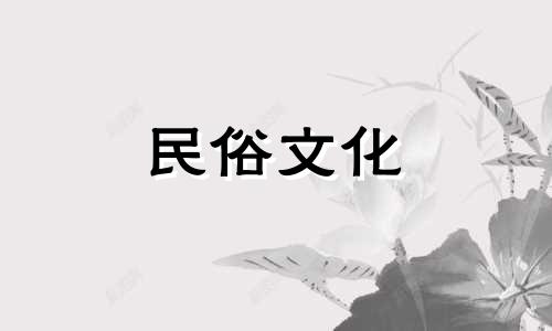 视频：院子里种植樱桃树的风水讲究与忌讳