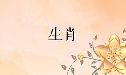 对于属狗的男性而言，最匹配的生肖组合以增强财运是哪些？