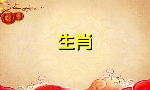 哪些生肖的男性以其英俊魅力而著称，吸引了众多女性的青睐？