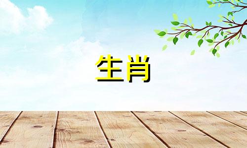 是否适合鼠年出生的女性与不同生肖的伴侣配对 最理想的生肖配偶对于属鼠女性而言