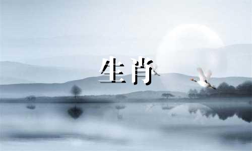 属猪与属鼠的父母宜生什么生肖的孩子最为吉利?在中国传统文化中,十二生肖与五行相生相克的理念深入人心