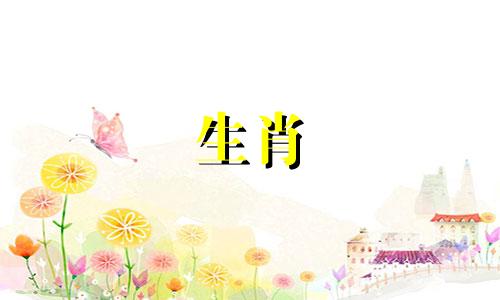 在十二生肖中，属鸡的人与哪个属相最为匹配和适宜？