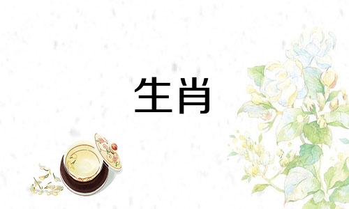 属猪的相冲生肖是什么 与属猪相克的属相，十二生肖相冲相克的口诀