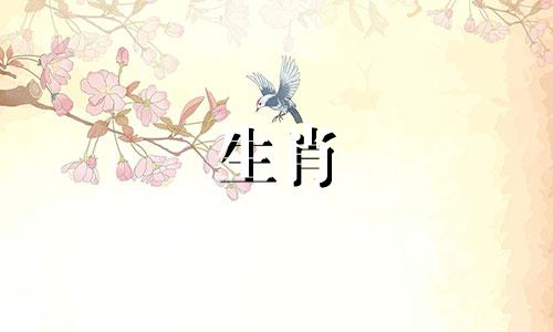 庞娟的生肖属相是什么 在孙庞斗智的比喻中，哪个生肖被用来形容？