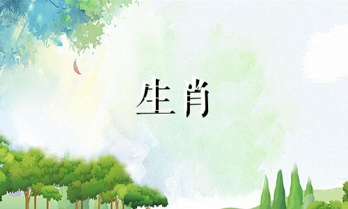 猪男比猴女大9岁会不会相克呢 男猪女猴相差9岁相冲吗