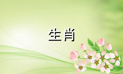 2024年属马人的财运怎么样呢 2024年生肖马