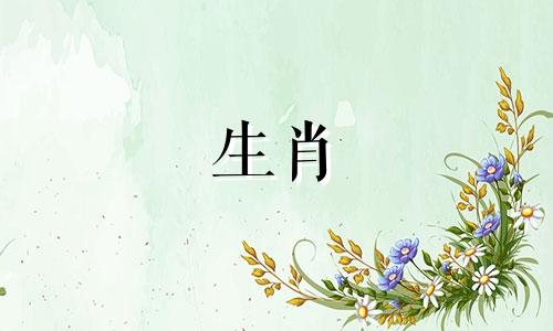 1967年的生肖属于什么属相？