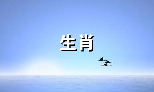 属牛女性的理想配偶属相 适合与属牛女性结婚的属相，属牛女性最匹配的生肖