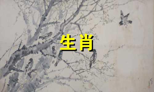 哪个生肖的男性运势最佳？