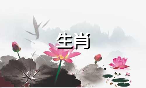 属于猴年生肖的人,他们最理想的配偶是哪些生肖?