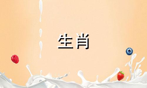 与属龙女性最匹配的生肖配对 探究哪些生肖与属龙的女性最为相合