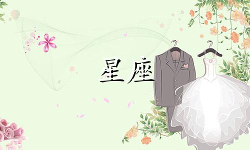 如何通过星座分析来预测个人的职业发展?