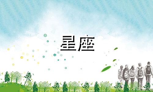 星座性格特征分析策划方案模板1. 项目概述   - 目的：通过星座性格特点分析，为客户提供个性化的服务或