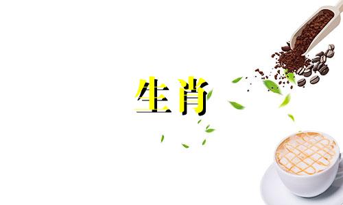 哪些属相与属鸡的星座搭配最为合适？ 适合属鸡人的配偶属相指南