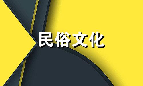 图像与视频教程：盆栽摆放的六大风水忌讳及风水学知识