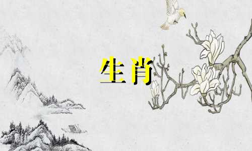 是否男狗与女猴在生肖配对上相容 男性属狗和女性属猴的星座配合情况如何