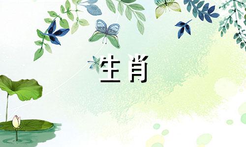 在十二生肖中，排在首位的是鼠。