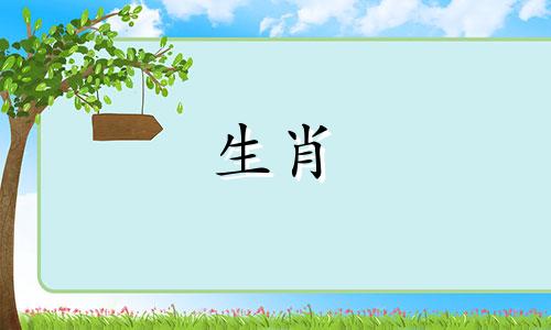 对于属蛇的人来说，他们适合佩戴哪些生肖挂件？或者，属蛇的人应该选择哪种生肖配饰呢？