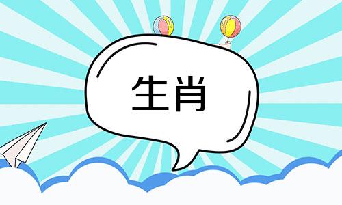 兔和虎在生肖配对中是否相合,或者具体来说,属兔的人与属虎的人在生肖关系上是否存在冲突。