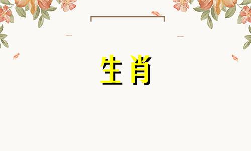 可爱的十二生肖卡通图片:如何绘制萌趣生肖图