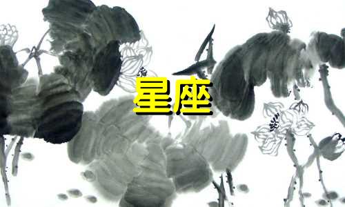 属龙的人对应的十二星座是哪些？ 12星座分别代表什么生肖，以及它们与哪些生肖相对应