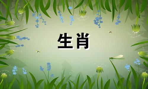 是否属马的女性与属蛇的男性在婚姻中相配？