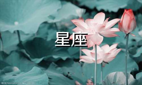 哪个星座与天蝎座最为匹配 最理想的星座配对是什么？