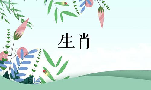 "马和兔的属相是否相合 马与兔的属相匹配情况"