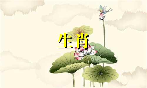 对于情侣来说,选择与生肖属相相关的头像是一种富有个性和寓意的表达方式。在组合中,向日葵、四叶草和