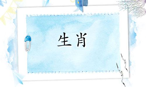 "马和兔子属相是几合生肖 兔和什么相冲" 这句话可以改写为："请问在十二