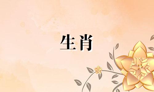 张晖的生肖属相是什么？