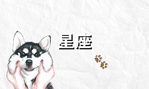 火影忍者中十二位主角各自属于哪个星座的标准答案。