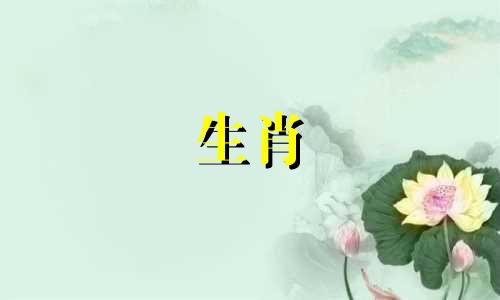 冬奥主题的十二生肖盲盒系列为冬奥会添彩 通常在哪些地方可以购买冬奥主题盲盒