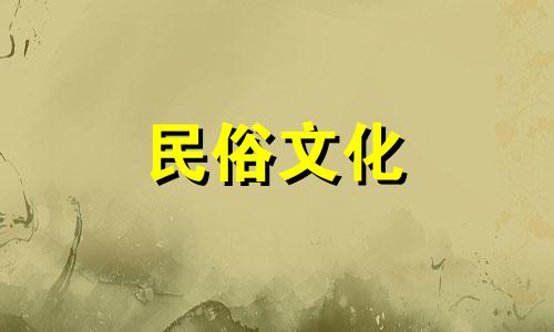 最佳骆驼风水摆件图片与视频:详尽指南及禁忌解析