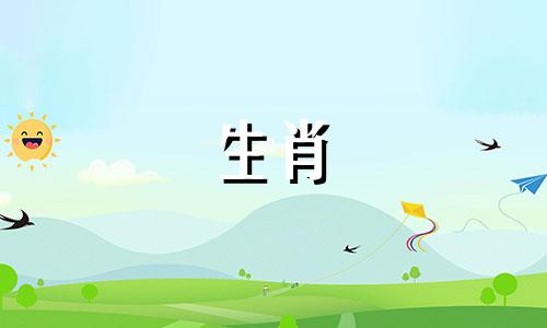 详解十二生肖属性及命运预测图示表  十二生肖特性图表