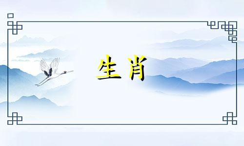 属马的人与哪些生肖最为匹配？