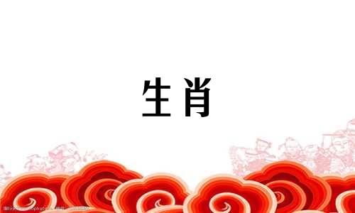 今年的生肖属相是哪一个？