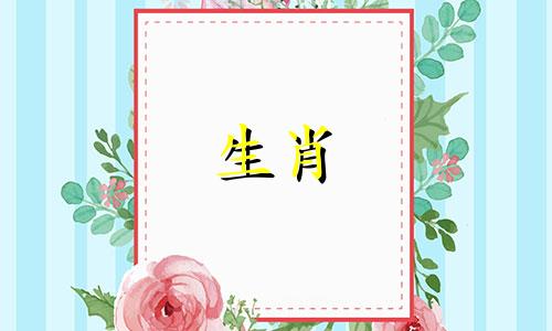 五种不同类别的生肖鼠属相图片 包含在十二生肖中的鼠属相，以及与子鼠相关的图片。