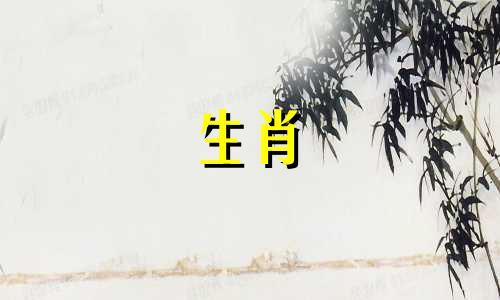 属狗的生肖三合贵人是指与生肖狗形成三合关系的其他两个生肖。在中国传统文化中，三合指的是三个生肖相互和谐