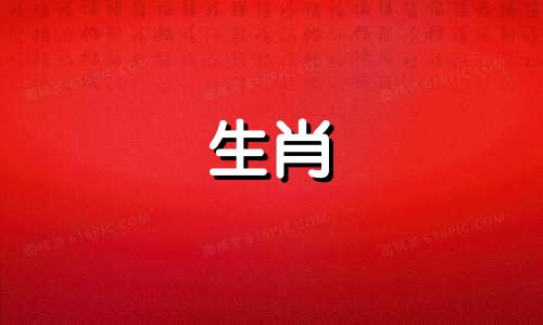 对于属马的女性来说，最合适的配偶属相是什么？