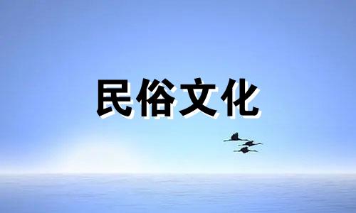 关于室内摆放假花的风水禁忌及其图解方法这个改写将原句中的关键词养假花风水禁忌图解法