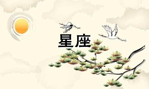 全部的十二星座娃娃分别代表哪些星座？