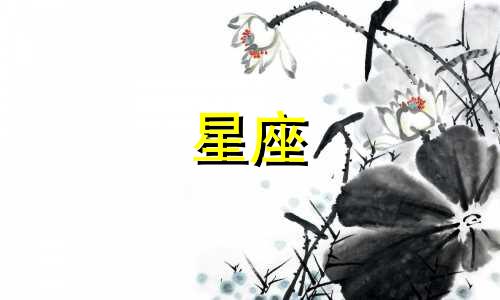 "十二月十号对应的星座是什么？"或者"出生在十二月十日的人属于哪个星座？"