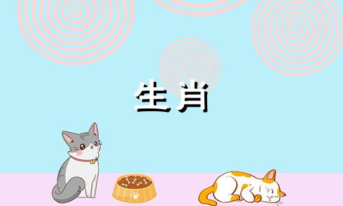 对于属蛇的人来说，他们的五行属相是什么？同时，12生肖分别对应哪些五行，以及十二生肖是如何划分到各自的五行中的