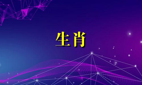 贾晓晨的生肖属相是什么 就是那个长得和吴尊相似的女生？