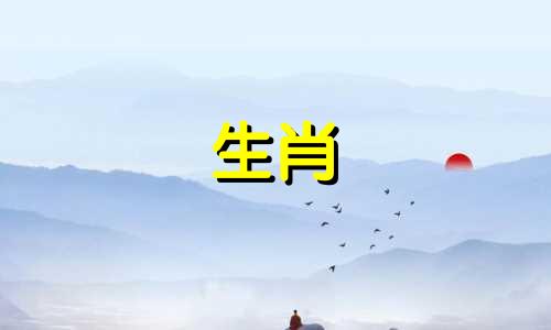 对于属猪的人来说，最吉利的楼层选择或者适合属猪人的楼层居住建议或者属相为