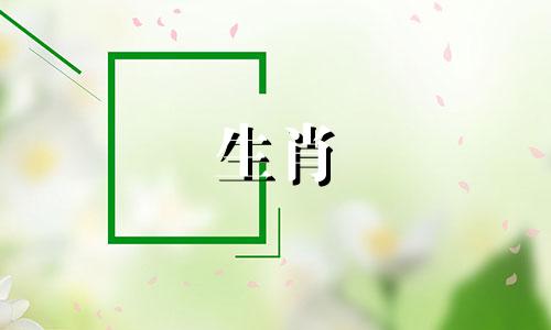 今年34岁的人属于哪个生肖？