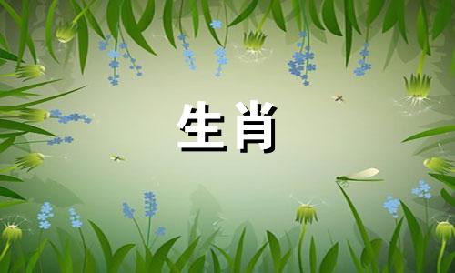 如何对十二生肖进行属相分析 划分十二生肖的属相，以及具体如何区分各个生肖。