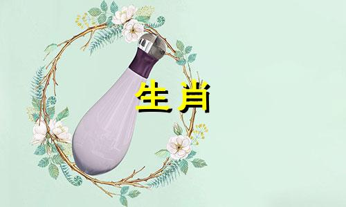 今日在十二生肖中，哪个属相的运势最为旺盛？同时，哪些属相结合最有利于财富的增长，以及在婚姻配对中