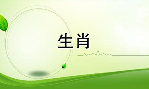 对于属虎的女性，她们的生肖配对中，1986年出生的属虎女性与哪些属相最为匹配呢？